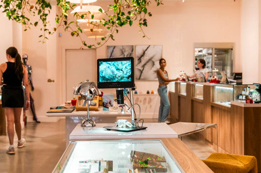 licensed cannabis dispensary in NYC