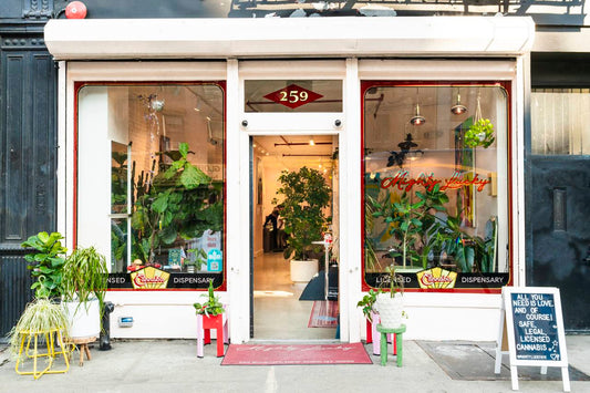 Mighty Lucky dispensary storefront at 259 Bowery in downtown Manhattan