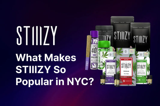 What Makes STIIIZY So Popular in NYC?