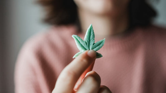 Cannabis 101