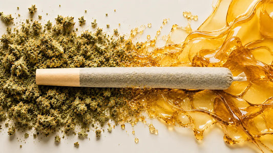 Cannabis pre-roll between ground flower and amber concentrate, illustrating how infused pre-rolls combine flower with cannabis concentrate.
