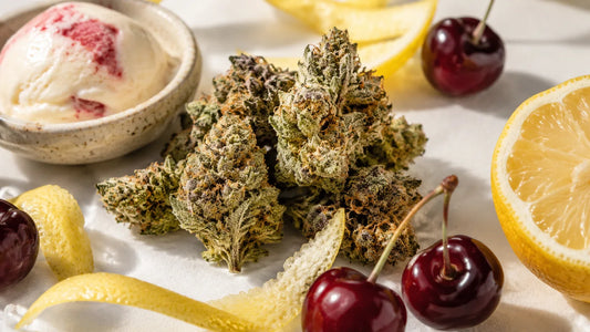 Lemon Cherry Gelato cannabis buds surrounded by fresh lemons, cherries and gelato — flavor profile and terpenes guide, Mighty Lucky NYC dispensary