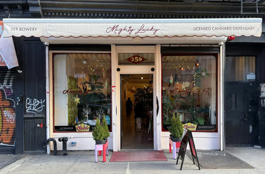 licensed weed dispensary in Manhattan NYC