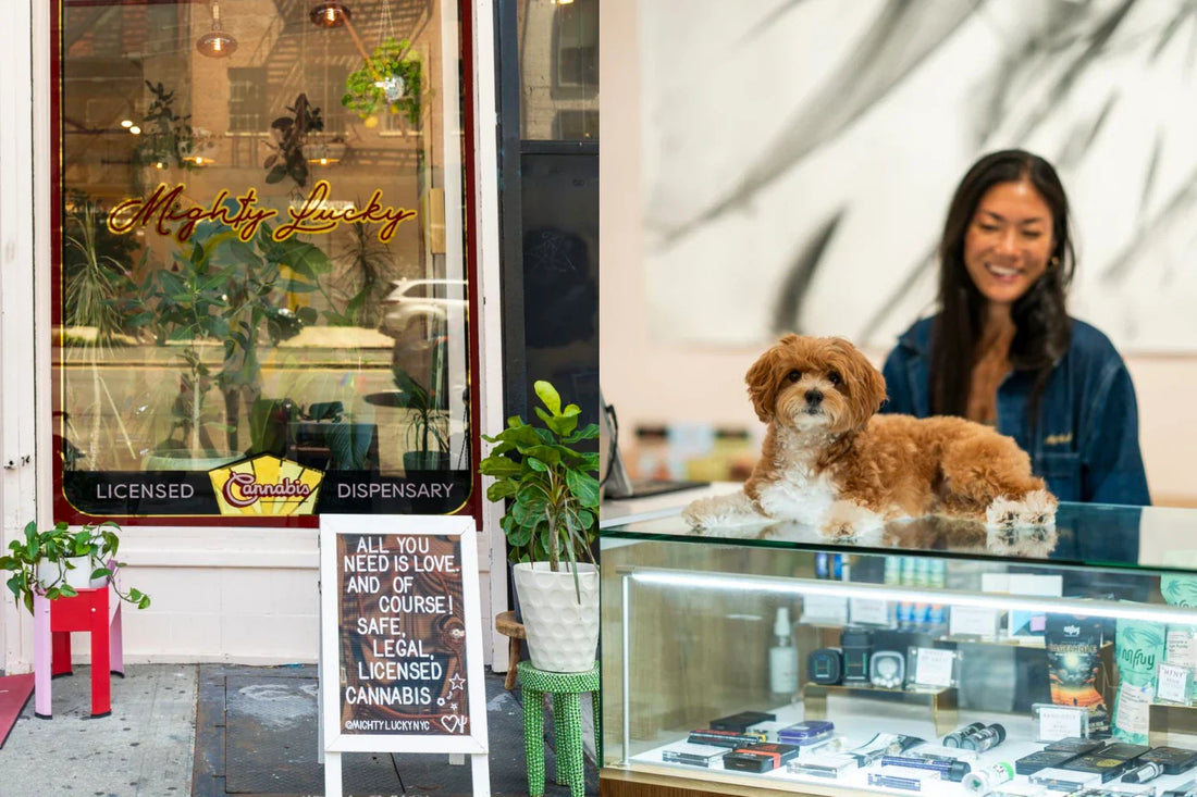 Mighty Lucky licensed cannabis dispensary on Bowery in Manhattan