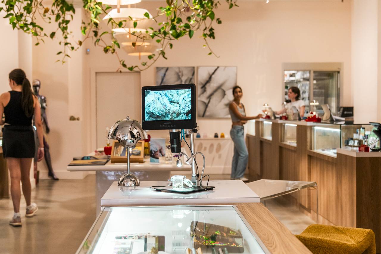 Mighty Lucky dispensary cannabis delivery in SoHo Manhattan