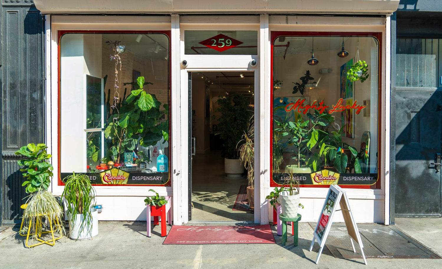 Mighty Lucky cannabis dispensary storefront at 259 Bowery NYC