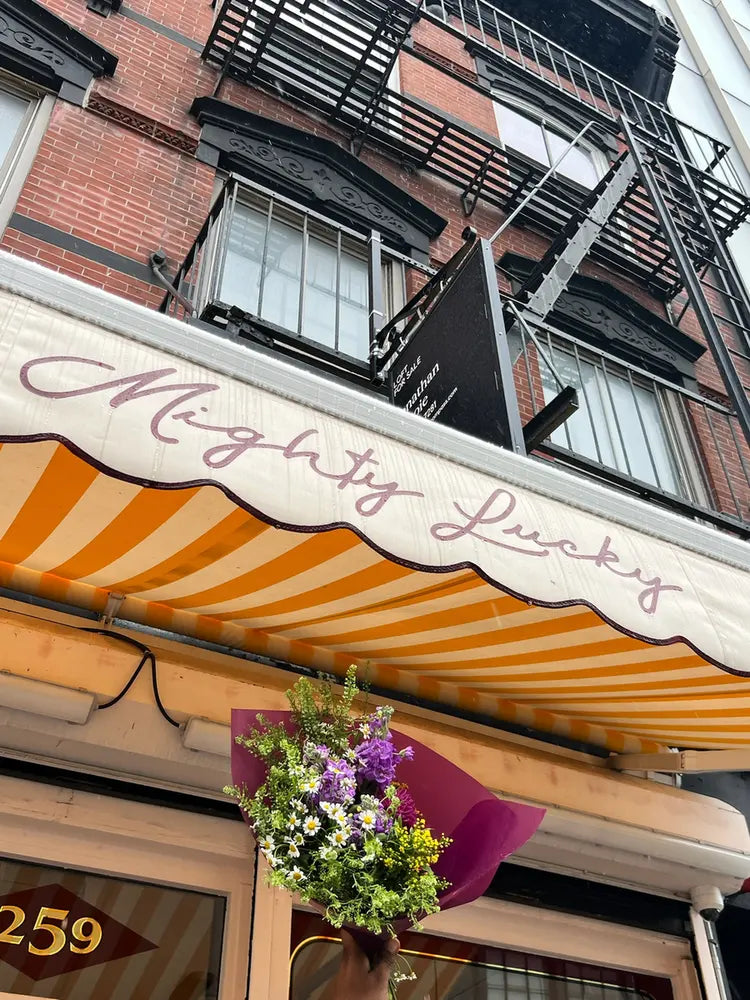Mighty Lucky cannabis dispensary storefront at 259 Bowery near Nolita NYC