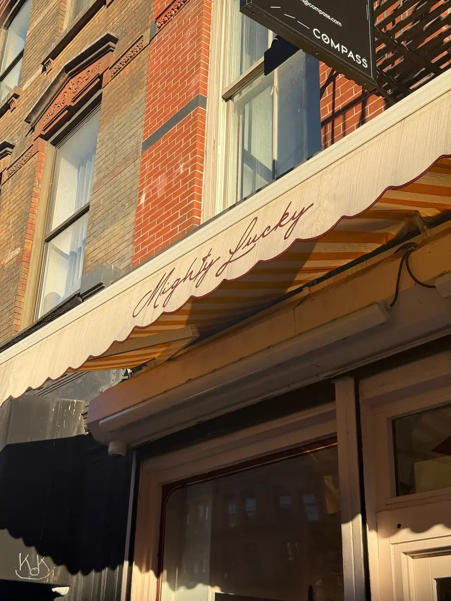 Mighty Lucky dispensary awning above the storefront at 259 Bowery in New York City