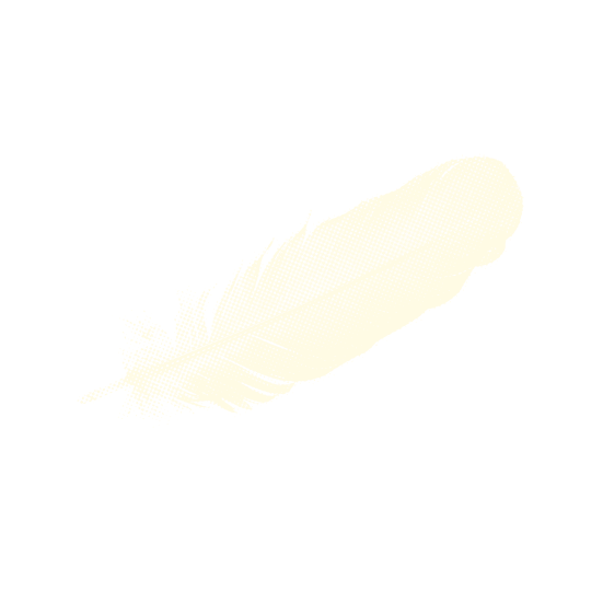 Feather Icon